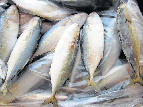 Eating oily fish may lower risk of diabetic vision-loss: study