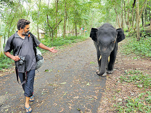 Photo-journalist Anand Shinde with an elephant.