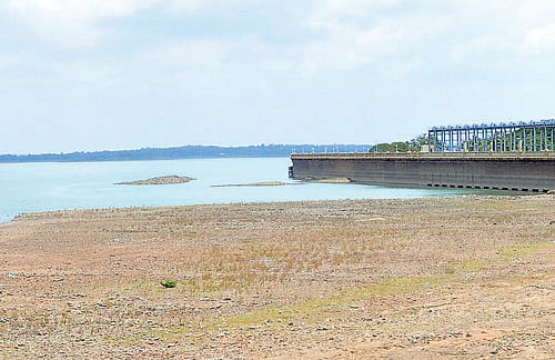 A report on the spot study of the water situation prepared by the Central Water Commission said water level in major reservoirs of Karnataka was precariously low. DH FILE&#8200;PHOTO