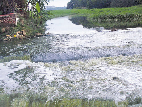 In the past three years, the state government has taken a number of steps to modernise canals to ensure tail-end farmers also get sufficient water. File photo