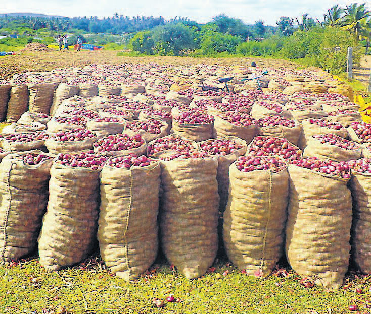 The distressed farmer said he incurred more than Rs 700 per acre for cultivating onions and paid Rs 780 towards transportation charges for bringing the produce to the APMC. dh file photo