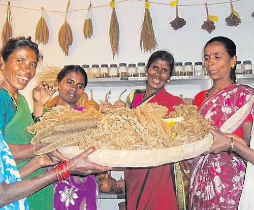 a wide range In the last two decades, hundreds of traditional seeds have been conserved by farmers in the State. PHOTO BY G KRISHNA PRASAD