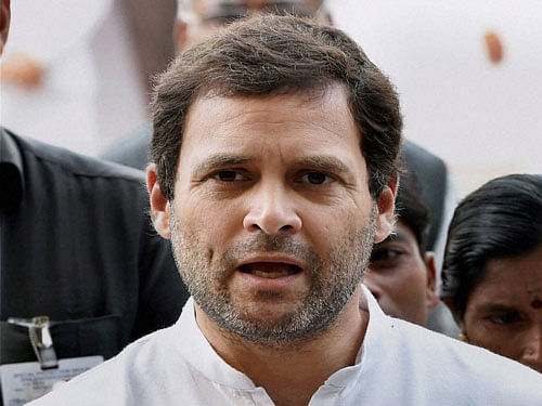 Rahul, who was also against appointing sitting MLAs to boards and corporations, is said to have questioned the inclusion of elected representatives. PTI File Photo.