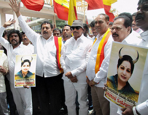 Members of Kannada Vatal Chaluvali Paksha, Vatal Nagaraj stage a protest against Tamil Nadu Chief Minsiter J Jayalithaa over the Cauvery water issue, at Kempegowda Bus Terminal in Bengaluru on Tuesday. PTI Photo