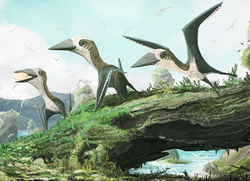 Some researchers have argued that small pterosaurs were ecologically replaced by birds by the Late Cretaceous. Credit: Mark Witton.