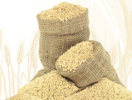 State-wise, Uttar Pradesh is pegged to produce 13.2 million tonnes of rice, followed by Punjab (120 million tonnes) and West Bengal (11.8 million tonnes). DH file photo