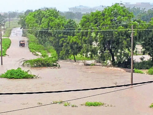 A stream on the outskirts of Bhalki town in Bidar district swelled due to heavy rains in the region. DH Photo.