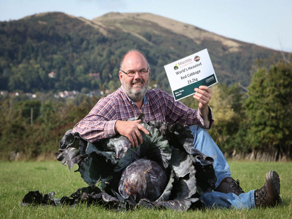 David Thomas, from Leedstown, Cornwall, presented the 23.2 kg vegetable at this year's National Giant Vegetable Championships. image courtesy: twitter