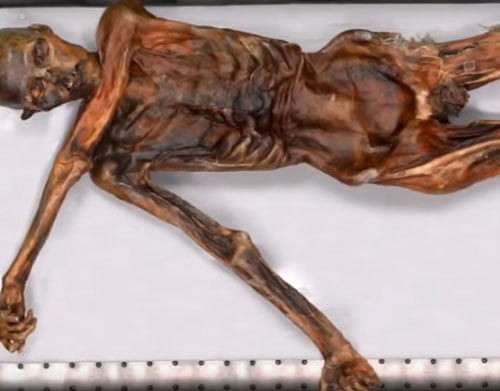 An arrow head discovered in 2001 in Otzi's left shoulder suggests that he was murdered. screen grab