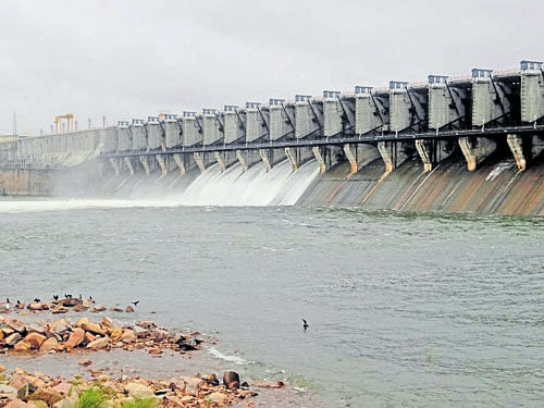 As much as 64,098 cusecs of water is being released from five crest gates and KPCL side of the Almatti reservoir. DH photo