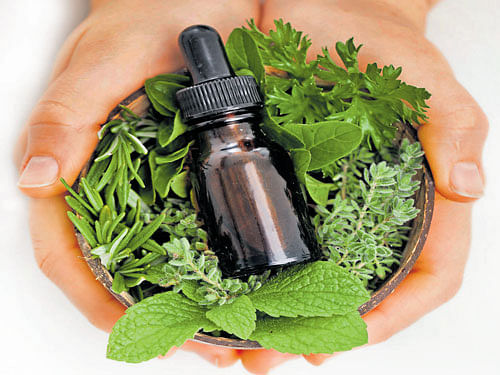 The calming effect of essential oils