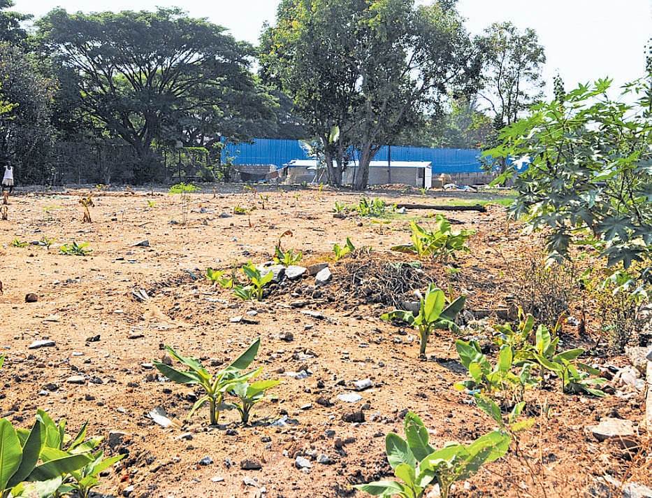 The officials also took possession of a resort with a mango grove on ten acres of land in Elenahalli in Bengaluru South taluk.  DH FIle Photo for representation photo