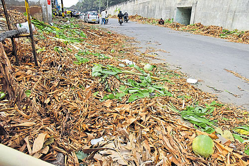 the day after: Banana stalks dumped by roadside vendors lie unclared at Gangenahalli on Ballari Road on Tuesday. dh Photo