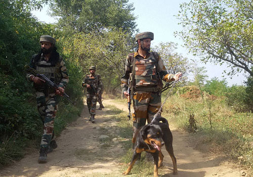'Sandy', a rottweiler on the prowl of militants with his uniformed colleague. PTI