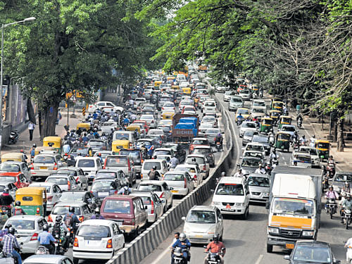Experts say that the proposed steel flyover project along Bellary Road will lead to serious ecological imbalance.