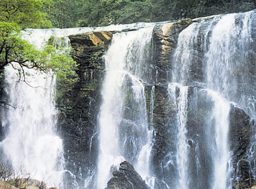 A view of Sathodi Falls