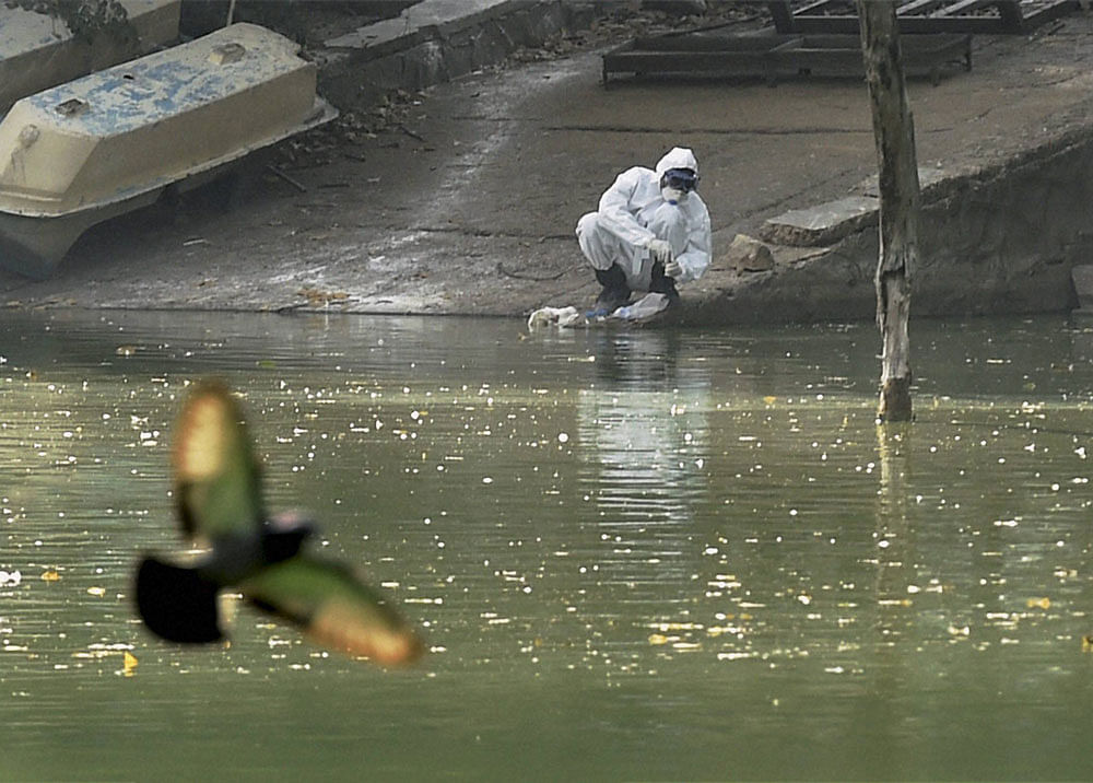 A health worker collects water sample from the lake at Deer Park in New Delhi on Sunday. PTI