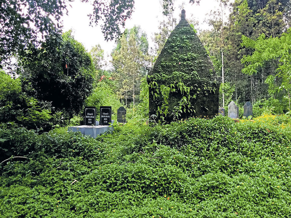 LOST IN GREEN The graveyard of Bavali Biddanda family.