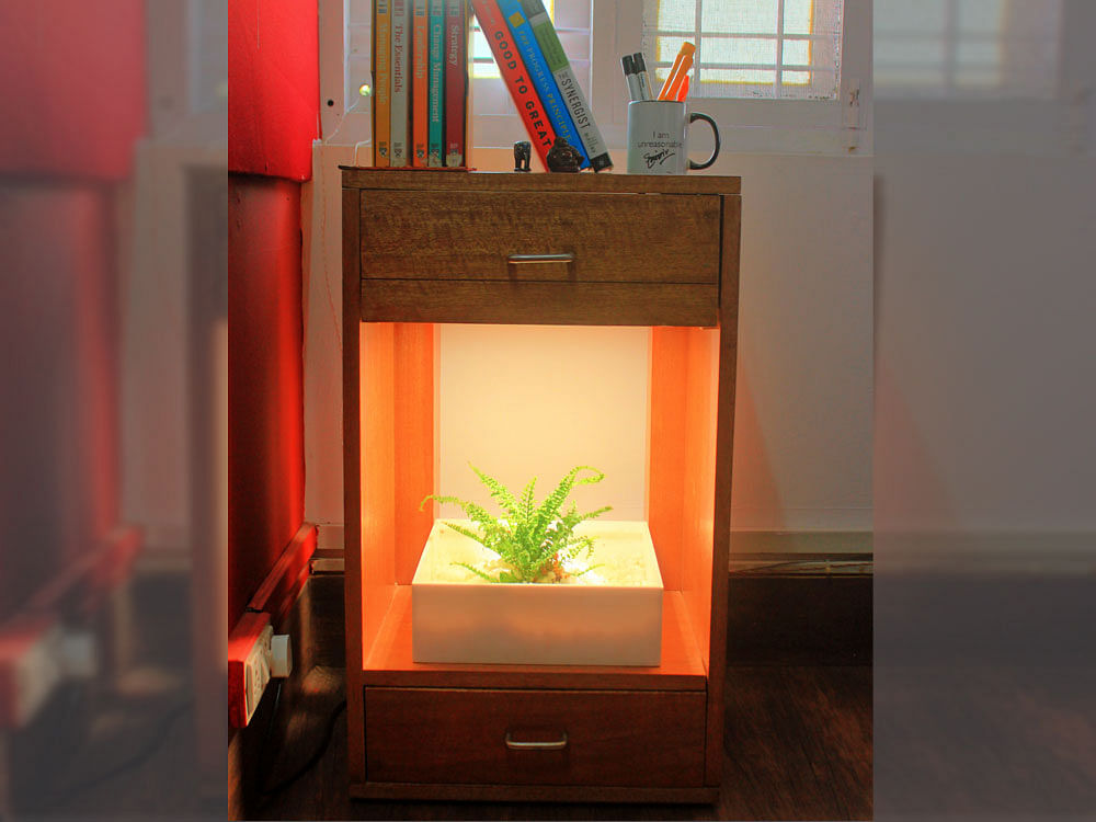 Novel idea: A bedside table with a plant by 'Green Factor'.