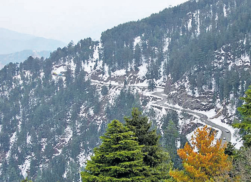 altitude allure Kali Tibba; (top) a landscape of Chail, Himachal Pradesh.