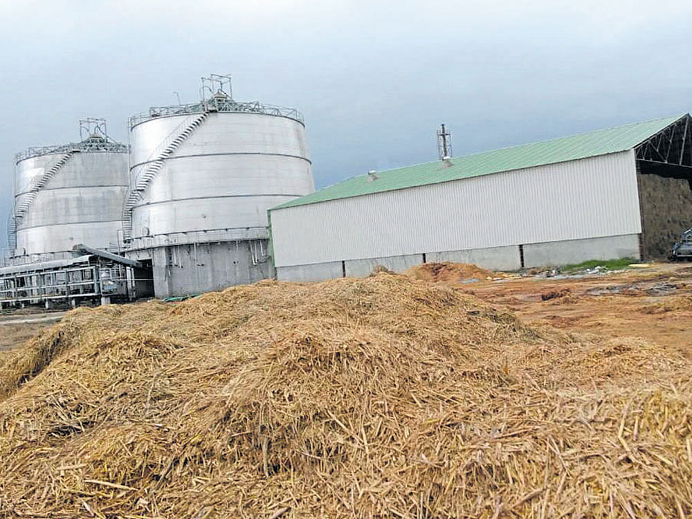 Don't burn paddy straw: IITians offer alternative