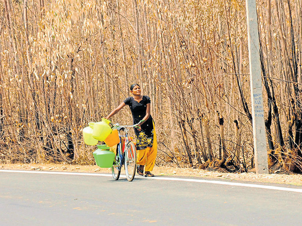 Several parts of the state are already facing severe drinking water scarcity which could worsen in the days to come.  DH file photo