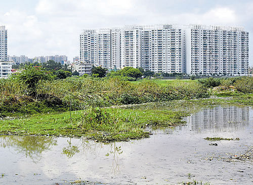 'Zippserv Protect' comes to their rescue as it allows users to see revenue maps and check if their property encroaches a rajakaluve, a lake or its buffer zones. DH file photo