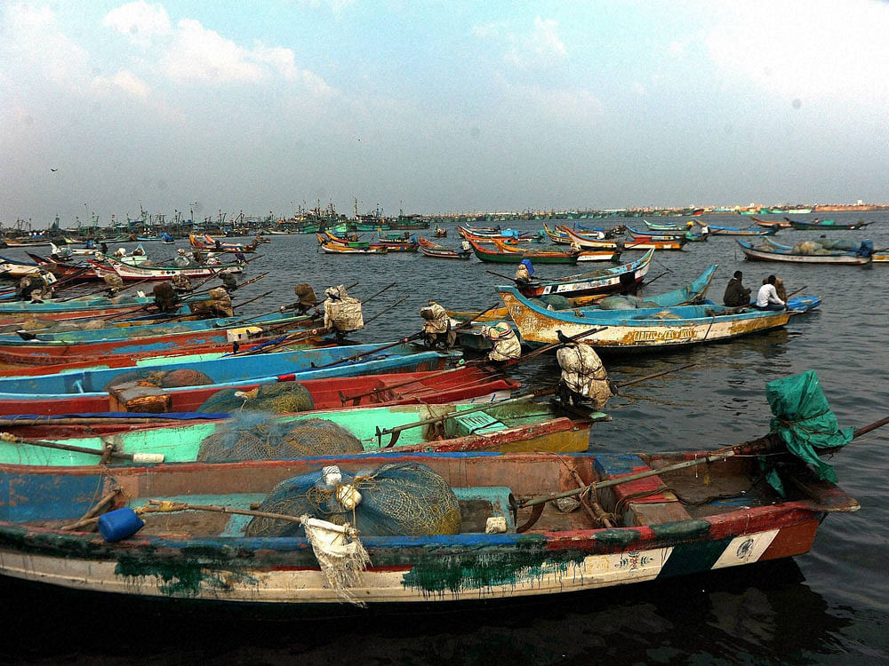 Fishermen anchor in a harbour in Chennai on Wednesday. PTI