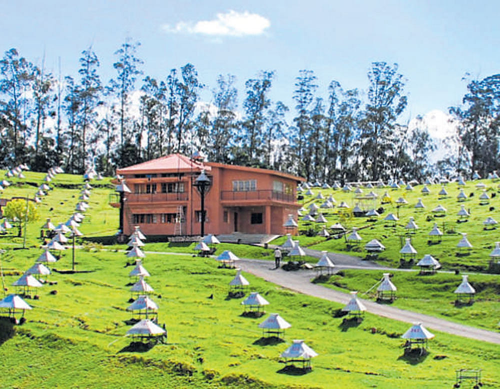 The EAS experiment at Ooty;