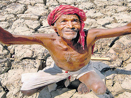 Bankruptcy, debt and farming-related issues alone accounted for 58.18% (4,659) suicides, a trend which was witnessed in the previous years, too. dh file photo