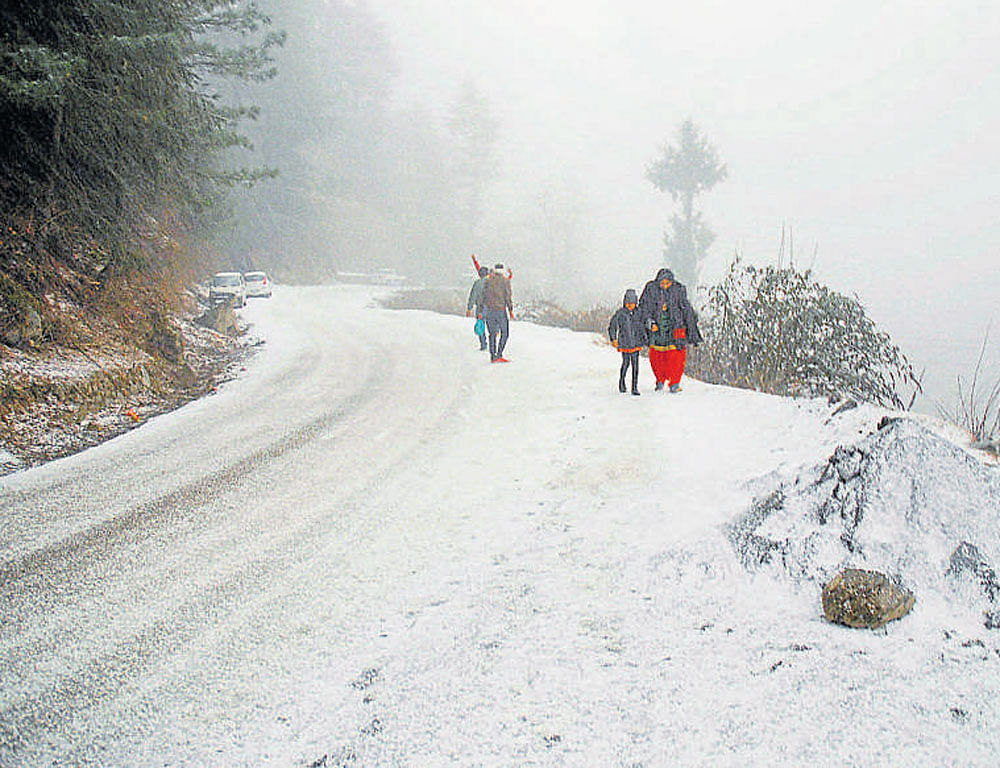 snowed in: A man walks on a snow-covered road at Kufri near Shimla on Sunday. PTI