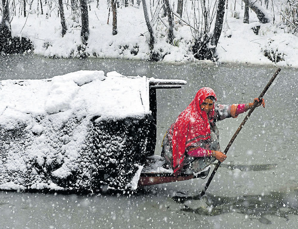 cold nip: A woman navigates her way during snowfall on Dal Lake in Srinagar on Friday. PTI