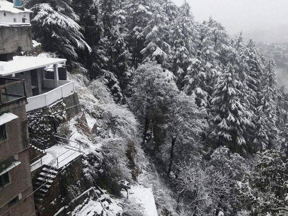 Blanket of snow: Houses and trees are covered following fresh snowfall in Uttarkashi, Uttarakhand.  PTI