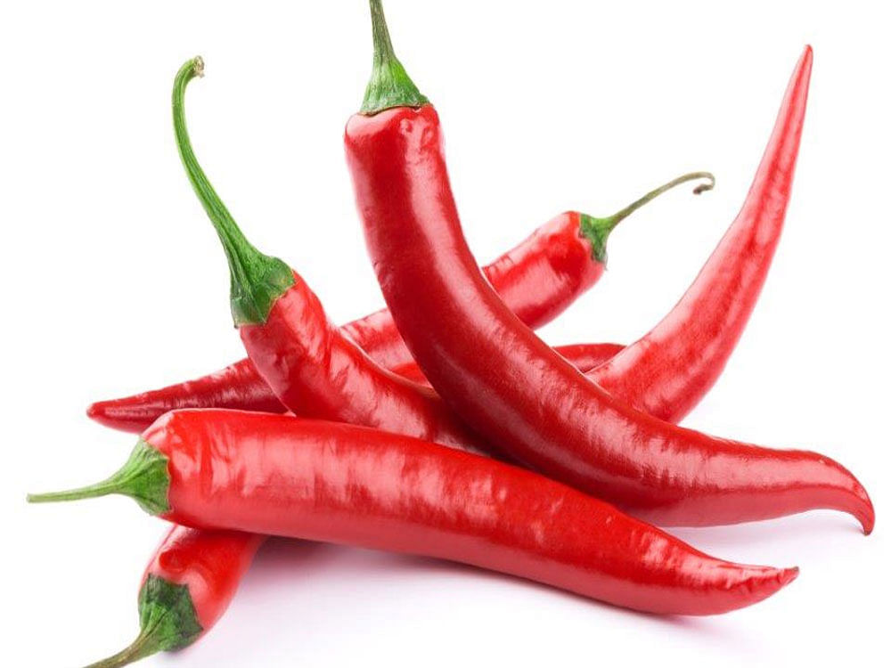 Using data collected from more than 16,000 Americans who were followed for up to 23 years, researchers from Larner College of Medicine at the University of Vermont in the US examined the baseline characteristics of the participants according to hot red chili pepper consumption. File photo