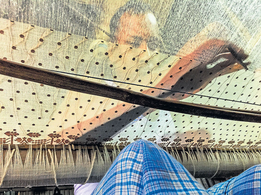 within its fine folds Master weaver Al-Amin weaving age-old motifs on a loom in Bangladesh;  (below) a cotton ball on plant. photos by Shahidul Alam & Tapash Paul, Drik