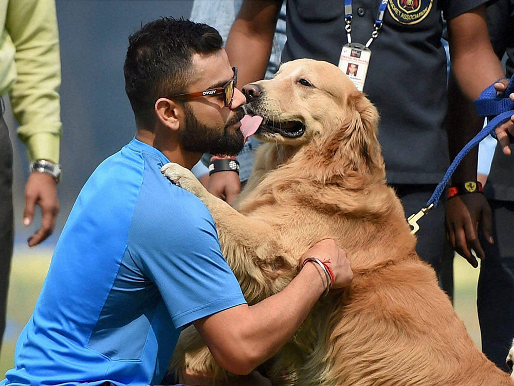 India's Virat Kohli in a playful mood with a security dog during a practice session in Pune on Saturday. PTI Photo