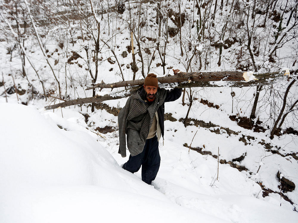 A man carries a log of a tree on his shoulder as he walks on a snow covered hill on a cold winter day at Faqir Gujri, on the outskirts of Srinagar. Reuters photo