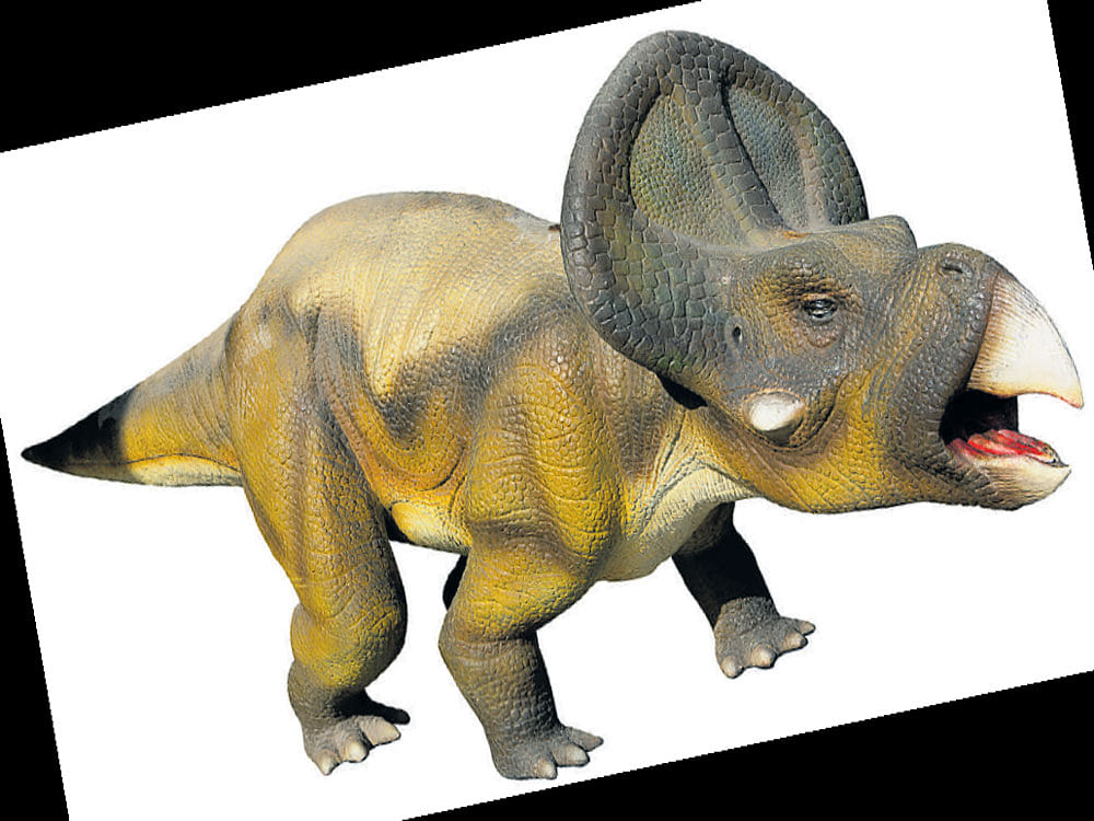 DISADVANTAGE Researchers found that the embryos of Protoceratops had an incubation time of at least 83 days.