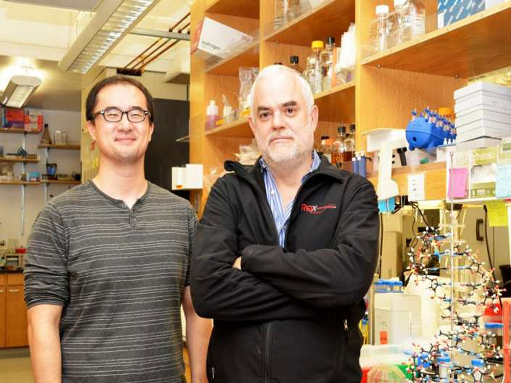 rofessor Floyd Romesberg (right) and Graduate Student Yorke Zhang. Image courtesy The Scripps Research Institute/Madeline McCurry-Schmidt.