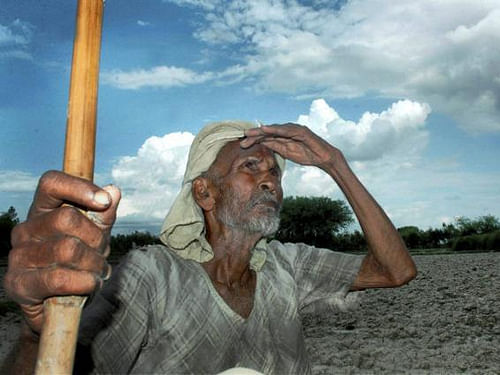 SC to examine policy to stop farmers' suicides