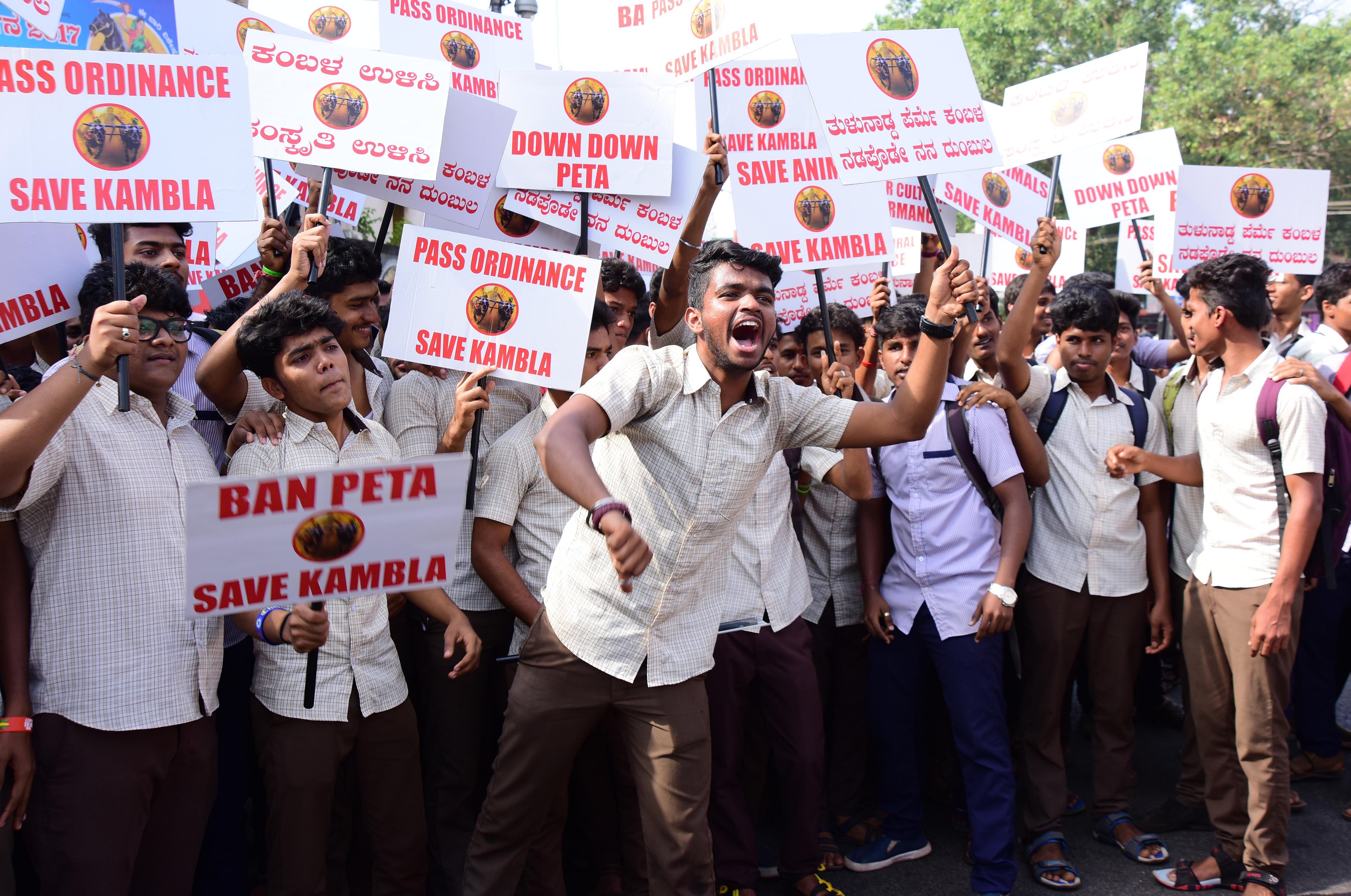 Kambala supporters staged a protest demanding withdrawal of ban on Kambala at Hampankatta Circle in Mangaluru. DH photo
