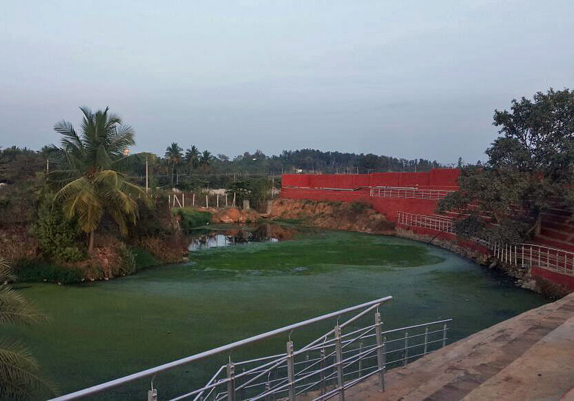 The sewage from Nithyananda Dhyanapeetam Ashram at Nithyananda Nagar, Bidadi, is being let into an artificial  pond inside the ashram.