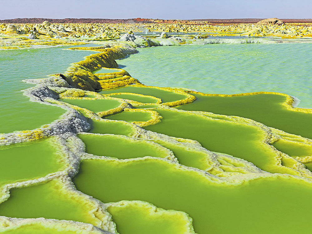 HOT WEATHER In pools of water in the Danakil Depression, the combination of heat, high acidity & sulphur concentrations causes bright yellow chimneys to form.