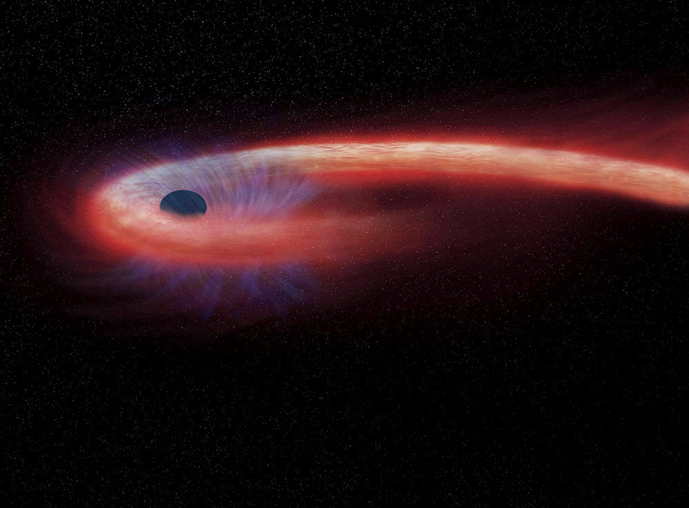 This artist rendering provided by NASA shows a star being swallowed by a black hole, and emitting an X-ray flare, shown in red, in the process. A new study published Monday, Feb. 6, 2017, in the journal Nature Astronomy details a black hole that's taken a record-breaking decade to devour a star 1.8 billion light-years from Earth. AP/PTI