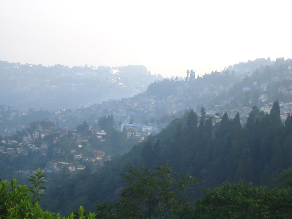 Memorable journey: The view from the ropeway in Darjeeling.