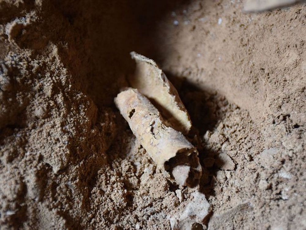 The cave discovered west of Qumran in the occupied West Bank contained no manuscripts, but there is ample evidence of their earlier presence. This includes fragments of pottery in which they were placed and the leather straps, Gutfeld said. Image: Twitter