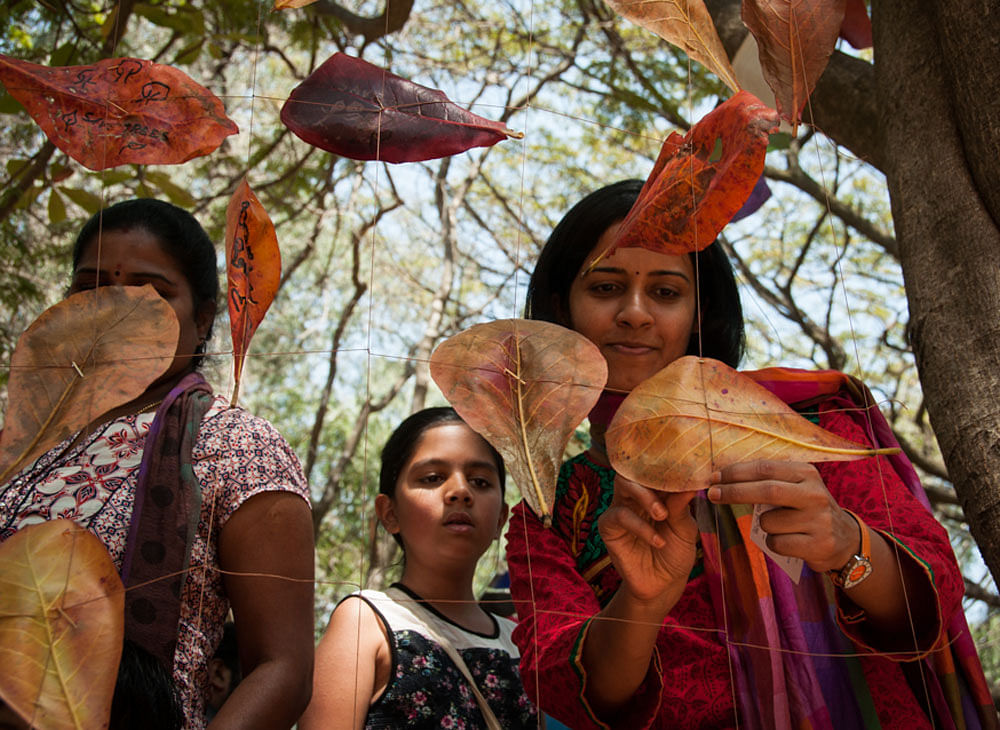 An interactive installation programme organised as part of 'Neralu' tree festival last year.