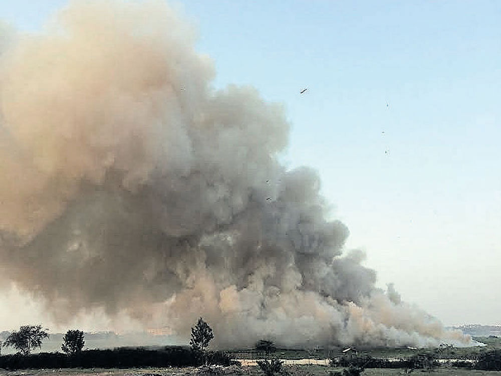 urban crisis Illegal dumping and burning of garbage on the lakebed is a huge cause of concern for residents in Bellandur. DH PHOTO