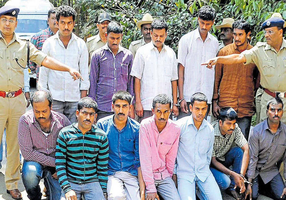 The 12-member gang of armed robbers suspected of murdering Air Commodore (retd) Parvez Hamilton Khokhar at his house in Hebbagodi on November 24, 2014. dh photo