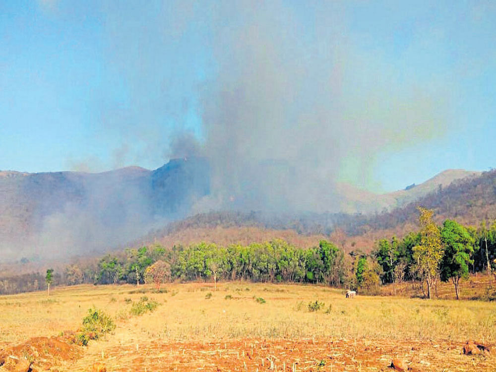 Smoke billowing over the Punajanur forest range in BRT Tiger Reserve of Chamarajanagar district due to a forest fire.